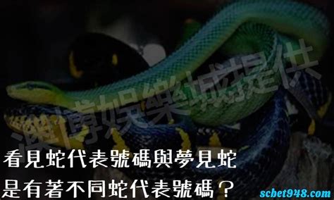 路上 看 到蛇代表什麼|【看見蛇代表什麼】看見蛇代表什麼？民俗專家揭露傳統文化中的。